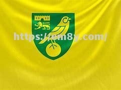 诺里奇城逐渐摆脱颓势，努力保级成功